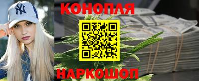 стаф Каменск-Шахтинский