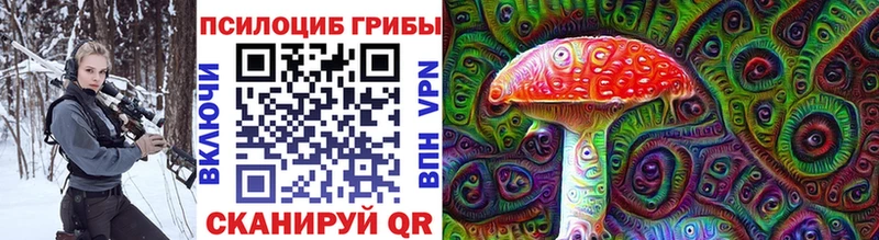 Псилоцибиновые грибы Psilocybine cubensis  площадка состав  Юрга  OMG онион 
