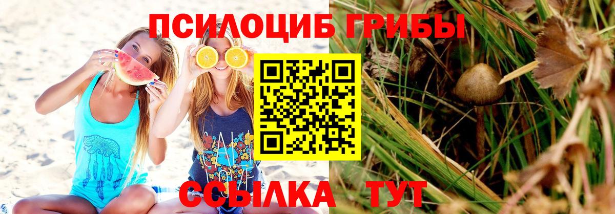 Юрга  Галлюциногенные грибы Psilocybe  Псилоцибиновые грибы прущие грибы  Вход с VPN 